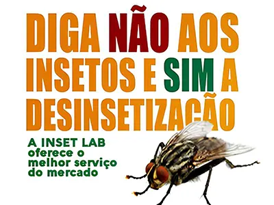 Inset Lab